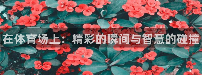 必一运动体育官网