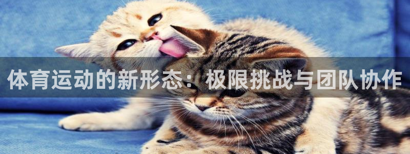 bsports官网 必一运动