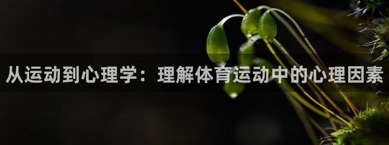 必一运动官网入口
