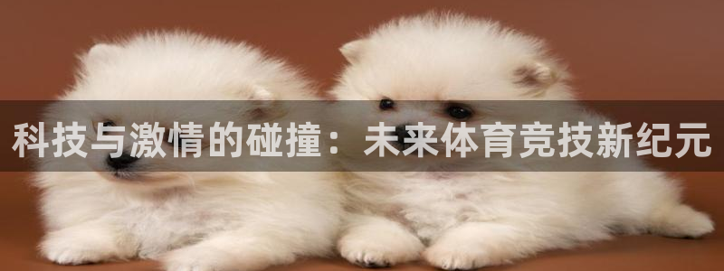必一运动app：科技与激情的碰撞：未来体育竞技新纪元