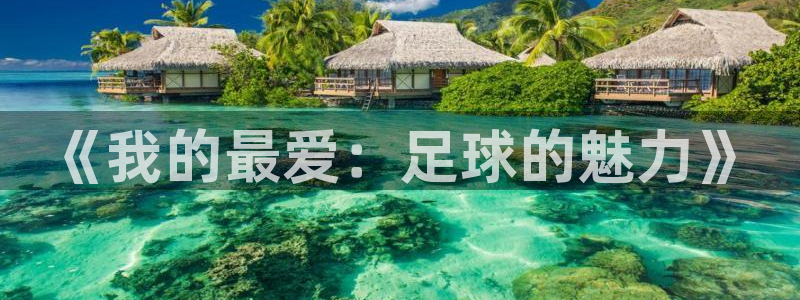 必一运动app