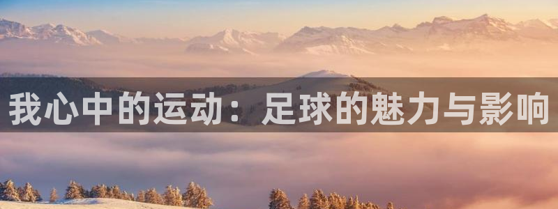 b体育必一运动官网