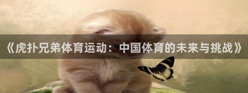 必一运动：《虎扑兄弟体育运动：中国体育的未来与挑战》