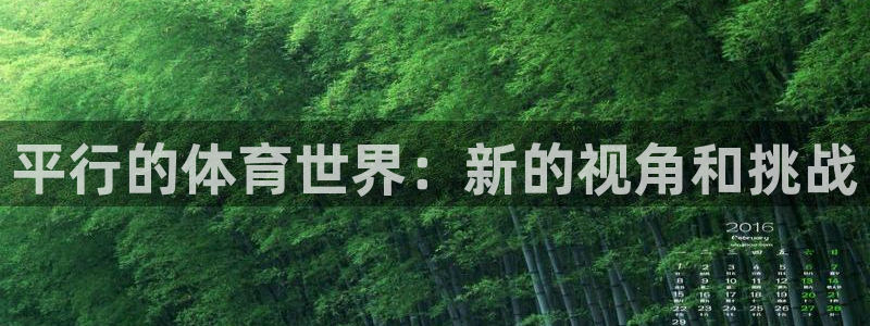 必一运动体育官网入口：平行的体育世界：新的视角和挑战