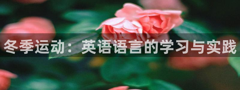 必一运动体育官网：冬季运动：英语语言的学习与实践