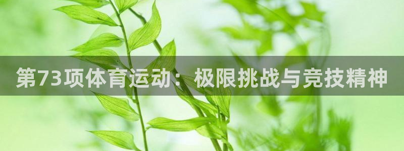 必一运动app